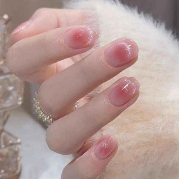 Fake Nail Kit - D151