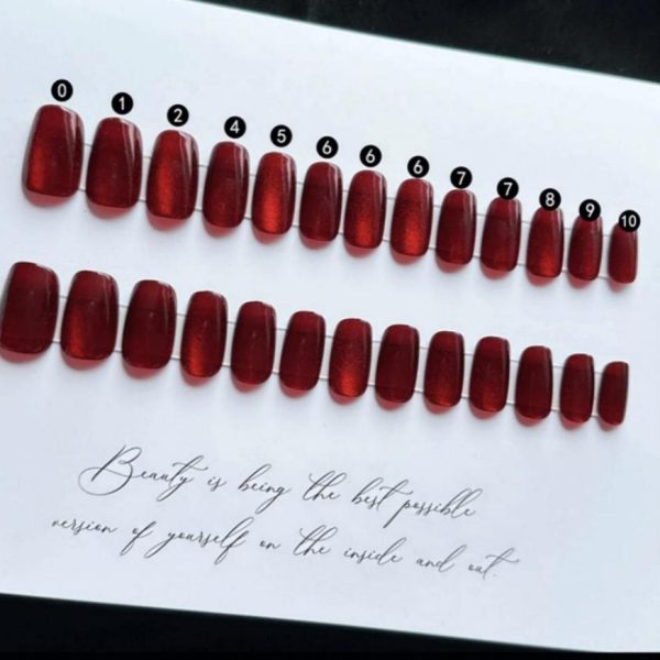 Fake Nail Kit - P022-80